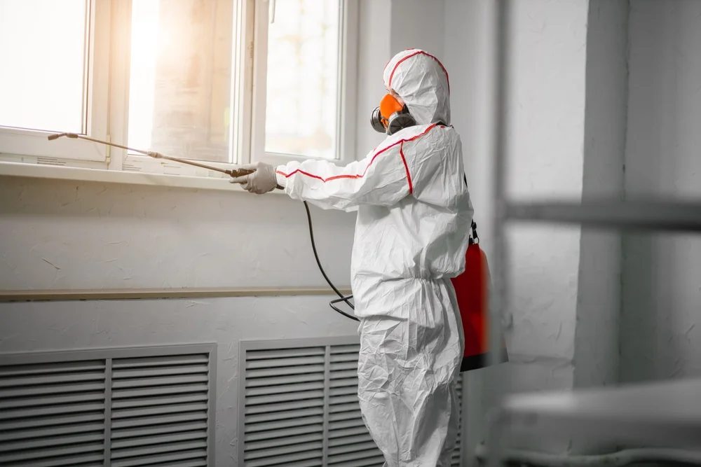 Professional mold remediation services in Danvers, MA